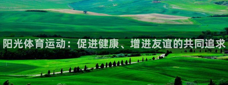 一竞技官方正版app五金厂：阳光体育运动：促进健康、