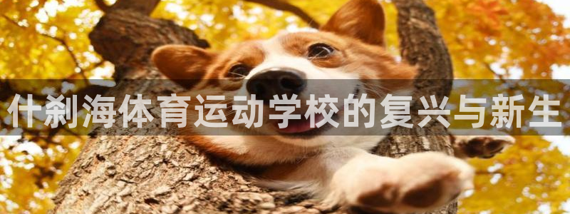 一竞技官方正版app娱乐40996：什刹海体育运动学