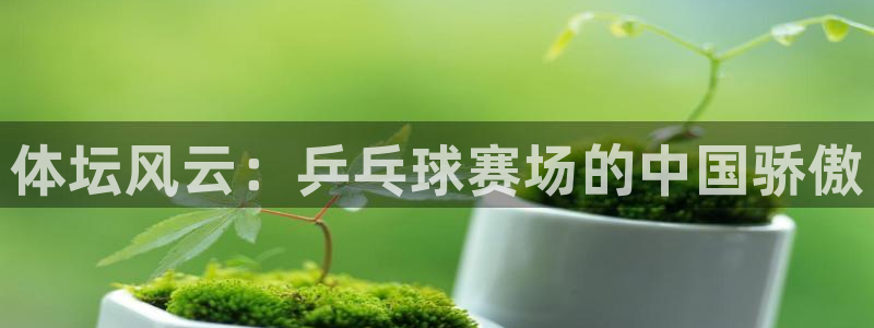 一竞技官网下载平台注册要钱吗：体坛风云：乒乓球赛场的中国骄傲