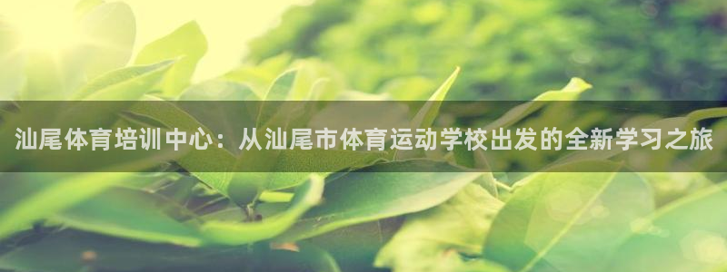 海南一竞技官网下载