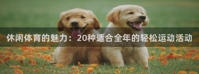 一竞技官方正版app娱乐首页网站大全：休闲体育的魅力