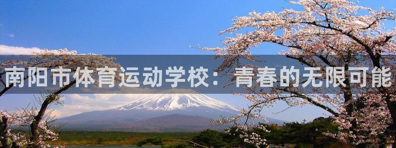 一竞技官方平台体育