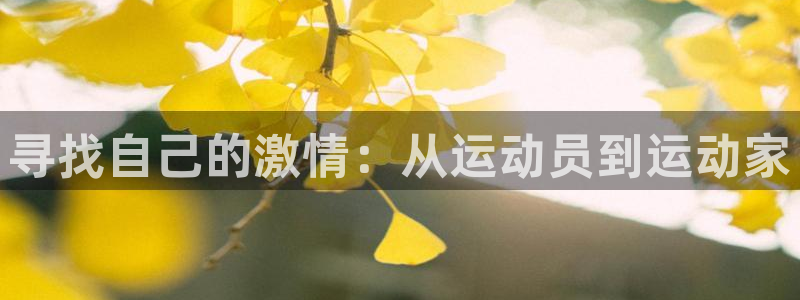 一竞技官方正版app新能源：寻找自己的激情：从运动员到运动家
