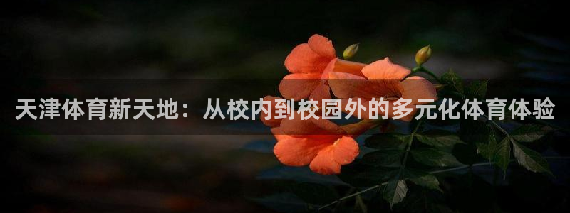 一竞技官方正版app集团E.ON：天津体育新天地：从校内到校