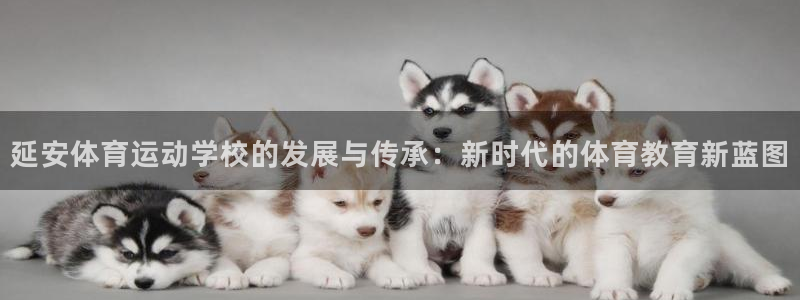 一竞技官网下载招商电话是多少：延安体育运动学校的发展与传承：