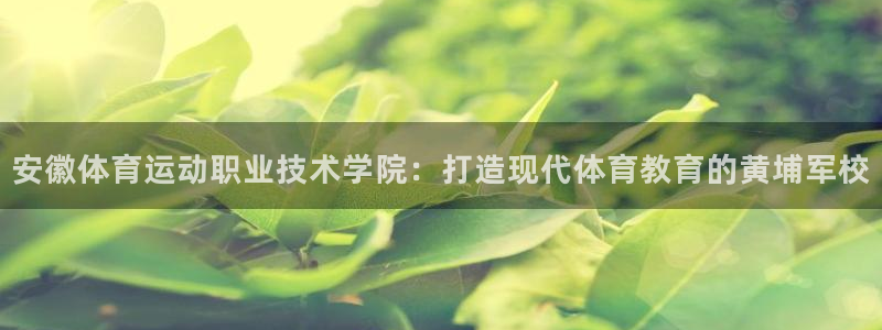 一竞技官方正版app集团E.ON：安徽体育运动职业技