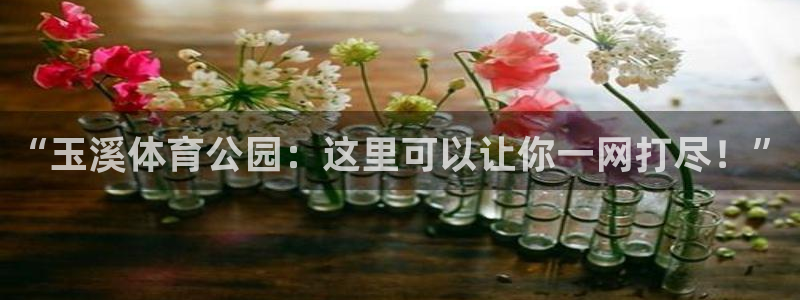一竞技官网下载是干嘛的公司：“玉溪体育公园：这里可以