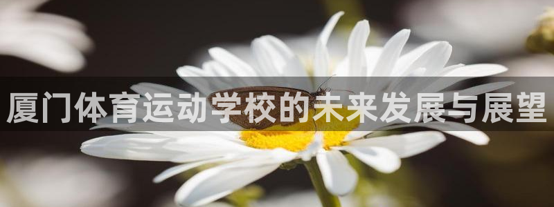 一竞技官网下载平台注册要钱吗：厦门体育运动学校的未来