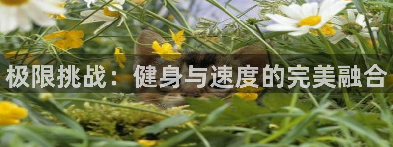 一竞技官网下载招商电话：极限挑战：健身与速度的完美融