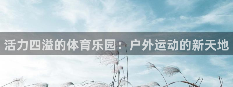 一竞技官方正版app娱乐网站：活力四溢的体育乐园：户