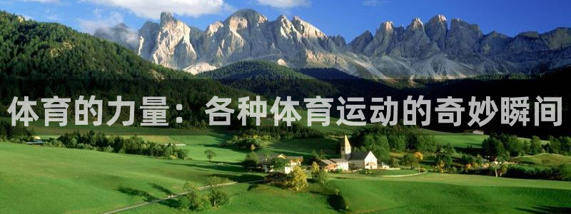 一竞技官方正版app集团官网首页：体育的力量：各种体