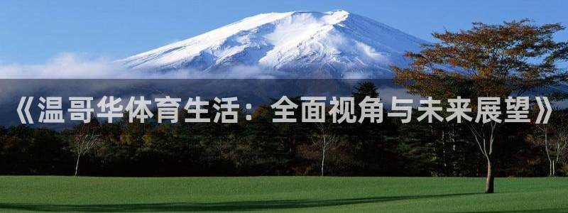 一竞技官网下载软件