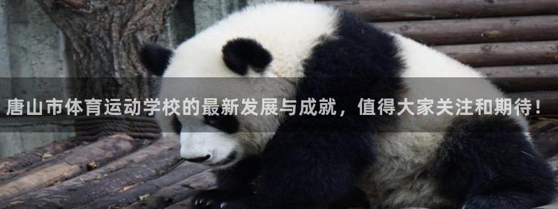 一竞技官方正版app新能源