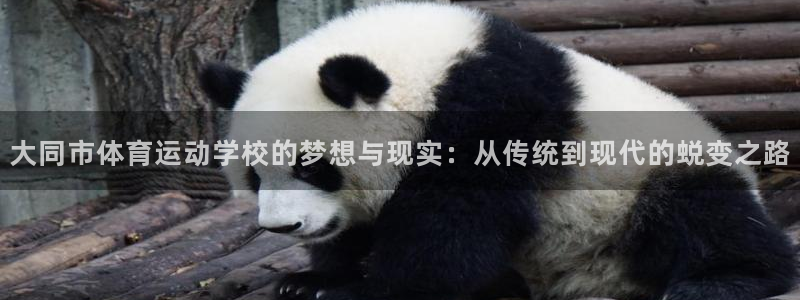 一竞技官方正版app集团E.ON