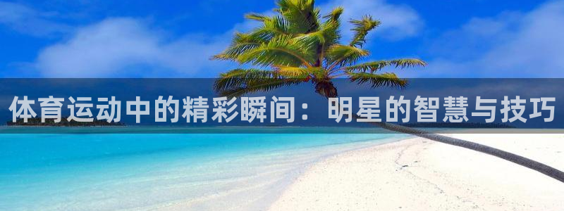 一竞技官网下载联系电话：体育运动中的精彩瞬间：明星的智慧与技